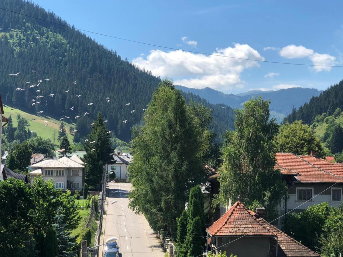 קאמפולונג מולדובנסק Bucovina View Apartment מראה חיצוני תמונה